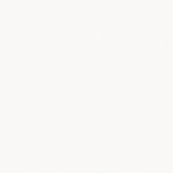011020SM.webp