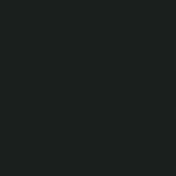 019020PE.webp