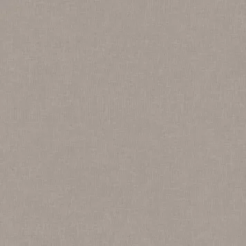 2639_1.webp