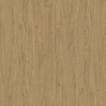 552720SN.webp