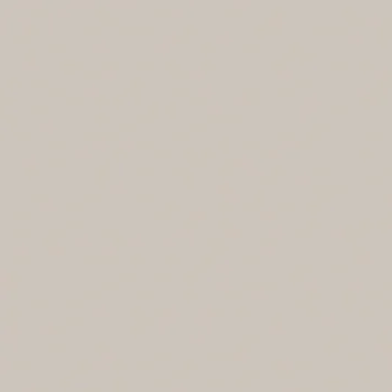 598120BS.webp