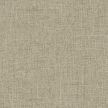 6572_1.webp